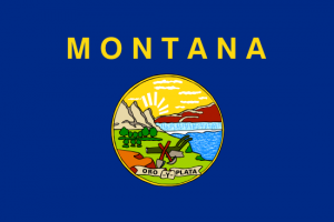 montana-lemon