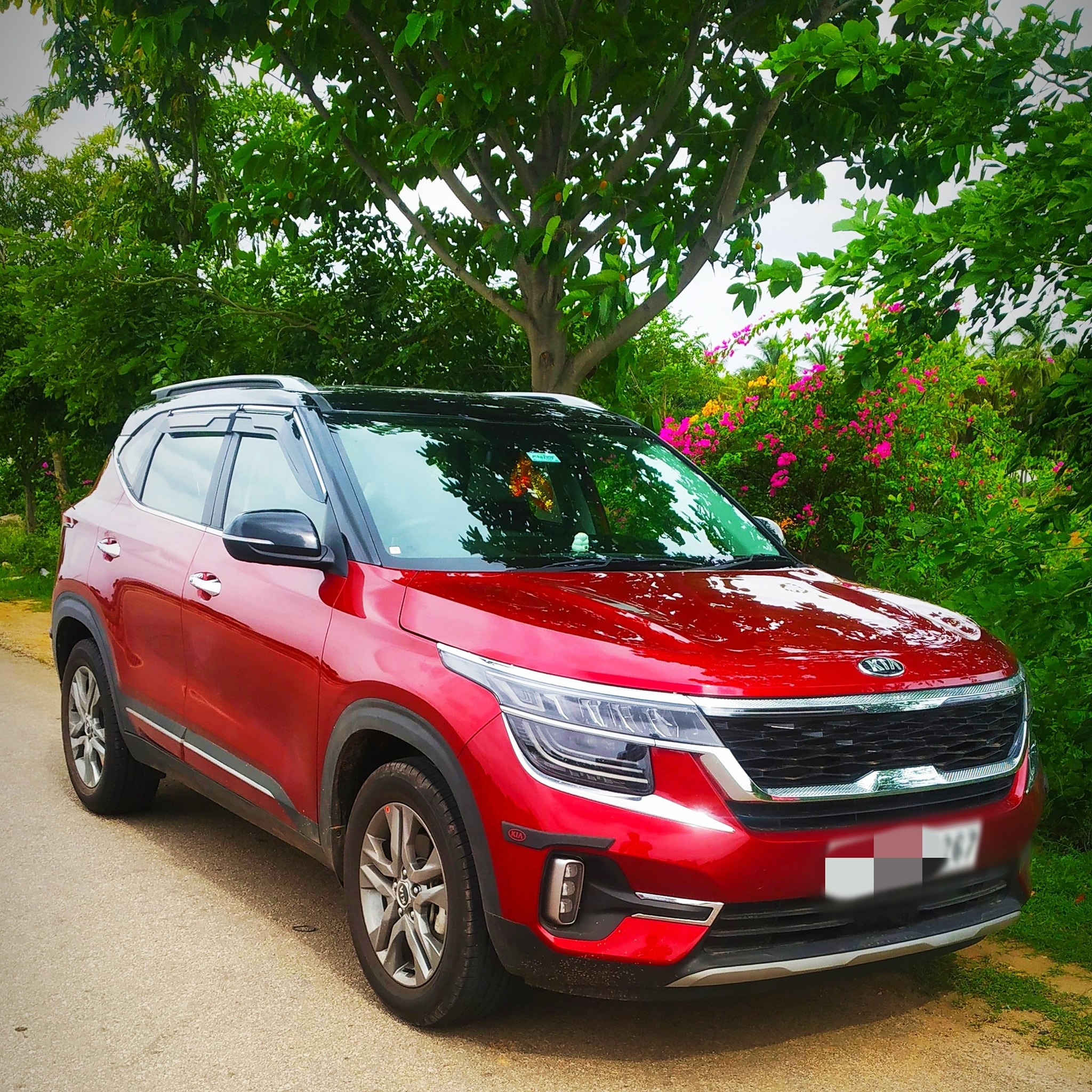 Kia_Seltos_car_Htx_model Kia_Seltos